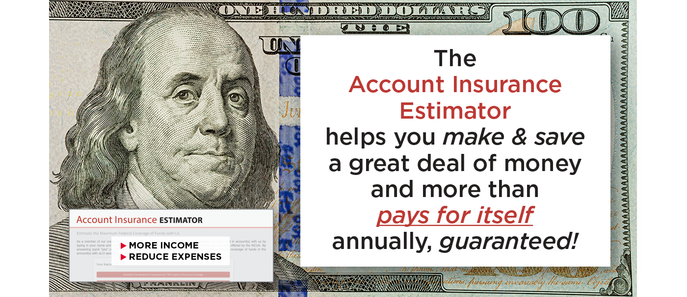 Image of $100 bill with text: The Account Insurance Estimator helps you make & save a great deal of money and more than pays for itself, guaranteed!